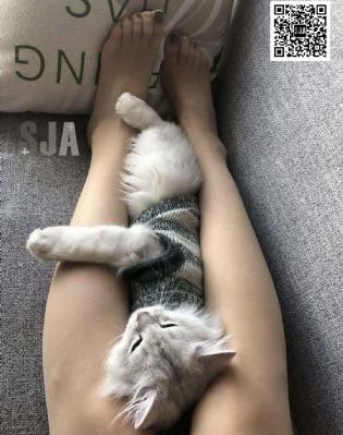 弹丸论破v3