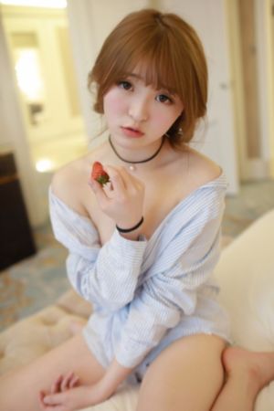大象的顶楼