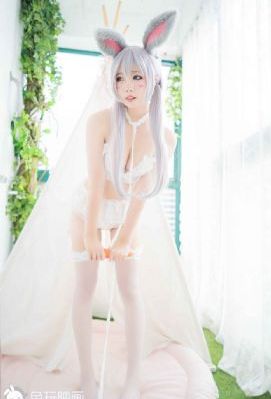 御兽王者