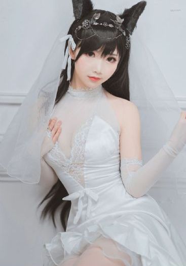 上阵父子兵电视剧