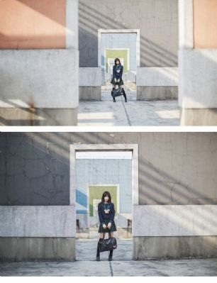 哈里斯