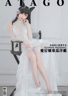 追风者电视剧免费观看
