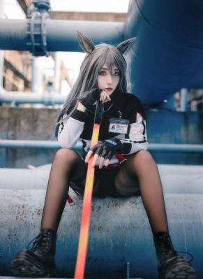 柳舟记电视剧免费观看