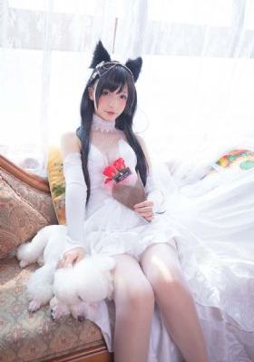 一本之道高清码狼人芒果75