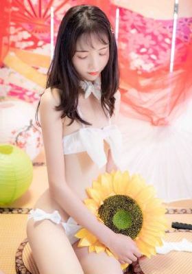 萌鸡小队动画片全集中文版免费